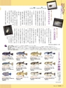エフのさかな14号 2009年 冬　【フグ】