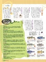 エフのさかな14号 2009年 冬　【フグ】