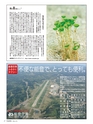 エフのさかな14号 2009年 冬　【フグ】