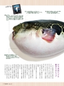 エフのさかな14号 2009年 冬　【フグ】