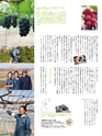 エフのさかな15号 2010年 春 【コノシロ】