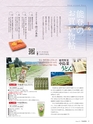 エフのさかな15号 2010年 春 【コノシロ】
