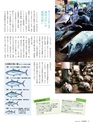 エフのさかな 16号 夏 -2010 summer-