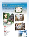 エフのさかな 16号 夏 -2010 summer-