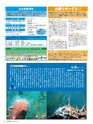 エフのさかな 16号 夏 -2010 summer-