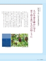 エフのさかな 16号 夏 -2010 summer-