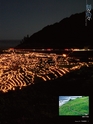 エフのさかな 16号 夏 -2010 summer-