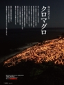 エフのさかな 16号 夏 -2010 summer-