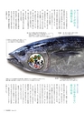 エフのさかな 16号 夏 -2010 summer-