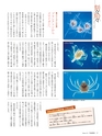 Fのさかな17号 2010 秋　楚蟹（ズワイガニ）