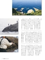 Fのさかな17号 2010 秋　楚蟹（ズワイガニ）