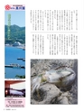 Fのさかな17号 2010 秋　楚蟹（ズワイガニ）