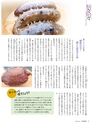Fのさかな18号 海鼠(なまこ) 2010 冬