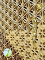 Fのさかな18号 海鼠(なまこ) 2010 冬