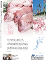 Fのさかな18号 海鼠(なまこ) 2010 冬