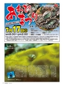 Fのさかな19号 鰰(はたはた) 2011年 春