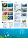 Fのさかな20号 虎魚（おこぜ）　2011年　夏