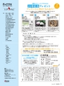 Fのさかな20号 虎魚（おこぜ）　2011年　夏