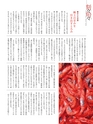 Fのさかな21号 甘蝦（あまえび） 2011 秋