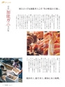 Fのさかな21号 甘蝦（あまえび） 2011 秋
