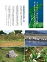 Fのさかな21号 甘蝦（あまえび） 2011 秋