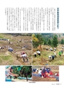 Fのさかな21号 甘蝦（あまえび） 2011 秋