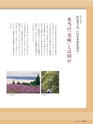 Fのさかな21号 甘蝦（あまえび） 2011 秋